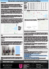 UROs 2019 Project Poster