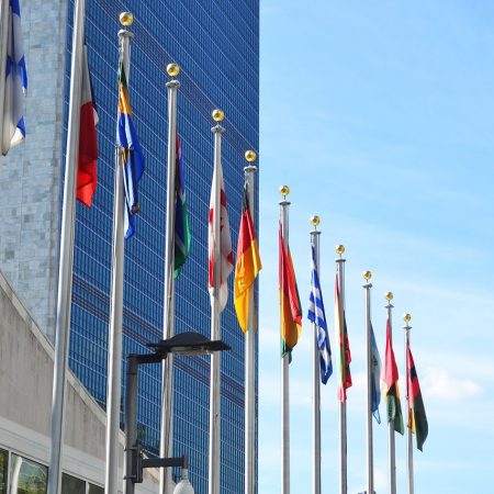 image of flags outside a United Nations building