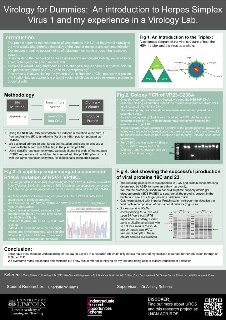Image - summary depicting aims, methodology and results of UROS research project. Full project details are in accompanying IMPact paper hosted alongside image of this poster.