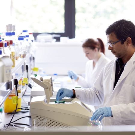 University of Lincoln Postgraduate Biotechnology research students in Labs